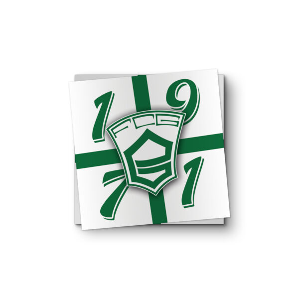 FC Groningen 1971